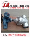 電動(dòng)對焊式高壓電站閘閥